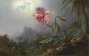 Martin Johnson Heade - Two Hummingbirds with an Orchid, 1875